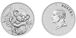 Koala Australiano