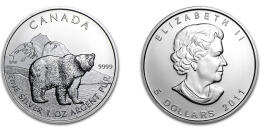 Oso Pardo