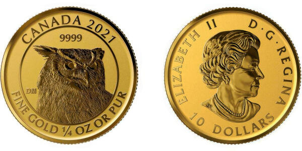 Gran búho cachondo
